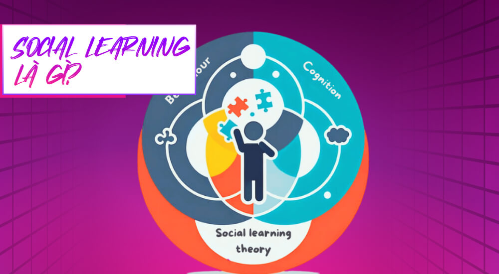 Khái niệm social learning là gì