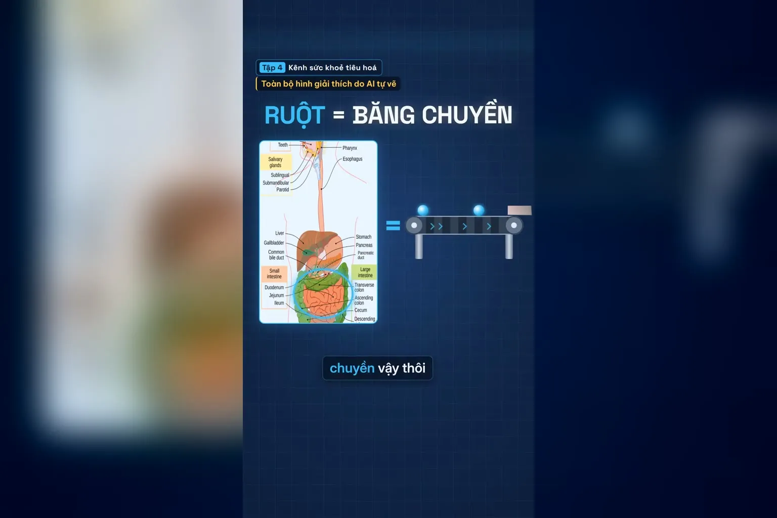 Ruột như cái băng chuyền đẩy thức ăn đi tới