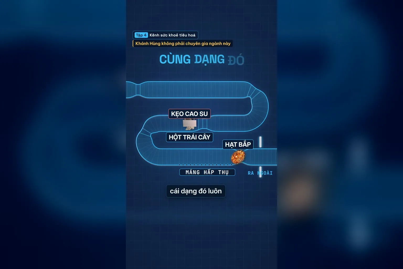 Kẹo cao su cùng dạng với hột trái cây và hạt bắp